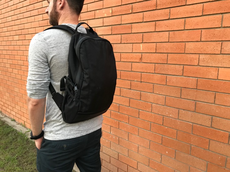 Arktype Dashpack Review Carrying Back